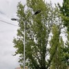 Поблизу луцької гімназії встановили нові ліхтарі