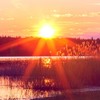 Зелені поля та дерева у цвіту: пасхальний фотопленер від волинського фотографа