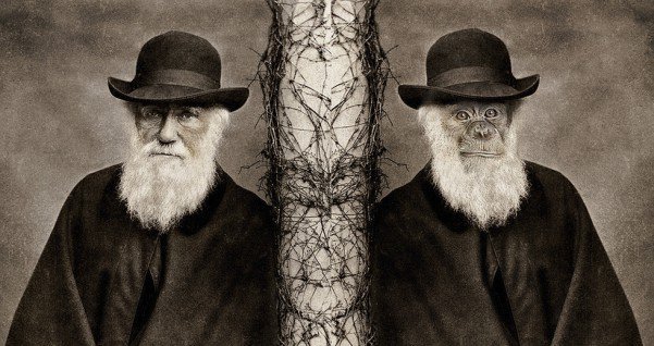 Реферат: Життя і наукова діяльність Чарльза Дарвіна