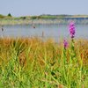 Останні дні літа на світлинах волинського фотографа
