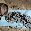 У польській церкві знайшли скарб із тисячі старовинних монет
