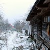 Засніжені Рованці в очікуванні Різдва
