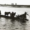 Коні, люди та віз: волинське каное на фото 90-річної давнини 