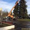 На Театральному майдані прикрашають ялинки. Фото