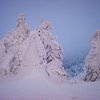 Стежкою на Петрос: абстракції гірської зими у Карпатах