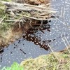 Лучан кличуть на громадські слухання щодо ліквідації смороду
