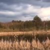 Онлайн-екскурсія невідомими озерами Шацького нацпарку. Відео