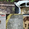 На Кіровоградщині знайшли літак часів Другої світової з останками льотчиків