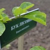 Волинські лісівники створили унікальний дендропарк