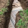 У Італії під виноградником знайшли давньоримську мозаїку