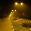 В Центральному парку Луцька освітлять алеї