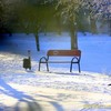 Засніжений луцький парк на різдвяних фото