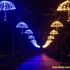 Магія ліхтарів і парасоль: як виглядає луцький парк вночі