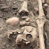 На Херсонщині виявили поховання 30 червоноармійців