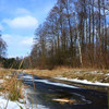 Зимова природа Шацького національного парку. Фото