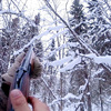 Як підготуватися до зимового полювання: поради бувалих мисливців 