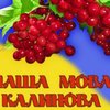 20 фактів про українську мову, яких ви не знали