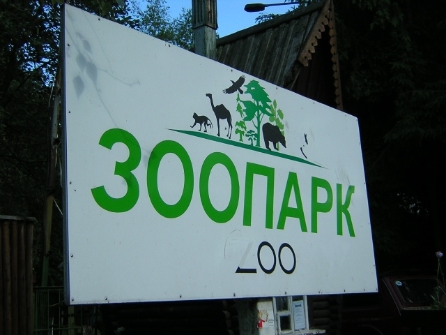 Луцький зоопарк хоче забрати ведмедів з Рівненщини