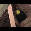 У фортеці на Хмельниччині знайшли 300-річну криницю