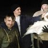 На Волині сільський голова врятував лебедя