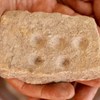 У Туреччині знайшли артефакт епохи еллінів: давній палітрі близько 5000 років