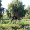 Гідропарк на Волині перетворився на непрохідний ліс з болотами