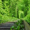 На Рівненщині зареєстрували торгову марку «Тунель кохання»