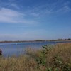 Краса осіннього Світязя на світлинах