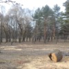 Відповіли на петицію щодо забудови парку імені 900-річчя в Луцьку