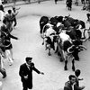  Фестиваль Сан-Фермін: від рогів і копит биків гинуть десятки туристів