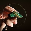 Розкрили таємницю артефакту, що знайшли в руїнах вілли у Великобританії