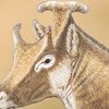 У Криму археологи знайшли останки давньої жирафи