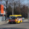 Найстаріший міський автобус Луцька. Фото