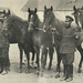 Виставка коней у Луцьку в 1933-му: міць і слава волинських стаєнь