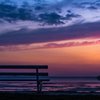 Шацькі озера – у весняних барвах. Фото 