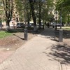 Квітковий ринок переїхав зі скверу у центрі Луцька