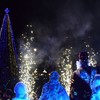Як виглядають новорічні дерева у різних регіонах України