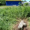 На Житомирщині в парку знайшли 400-річний хрест