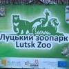 У Луцькому зоопарку «поселилась» екзотична корова. Фото