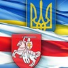 У Луцькому виші вивчатимуть білоруську та чеську мови