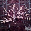 Волинянка творить креатив з соломи