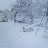 Волинських користувачів соцмереж «засипало» снігом. ФОТО