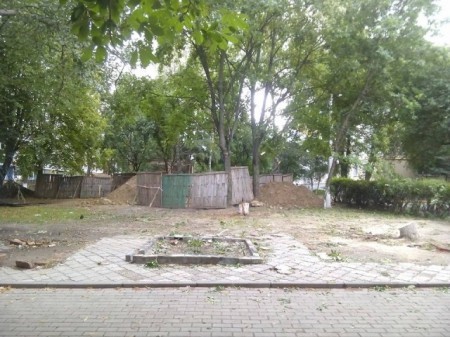 У Луцьку з початку року вирубали майже 90 дерев