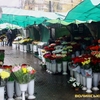 Лучани знову вимагають перенести квітковий ринок
