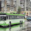 Затвердили нові додаткові місця зупинок тролейбусів у Луцьку