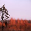 Околиці Ківерців на світлинах