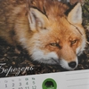 Луцький зоопарк видав календар