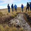 У Перу знайшли дерево, якому 10 млн років
