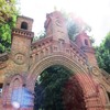 Спадщина Радзівіллів: екскурсія Цуманською пущею
