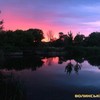 Казкова природа поблизу Луцька. Фоторепортаж